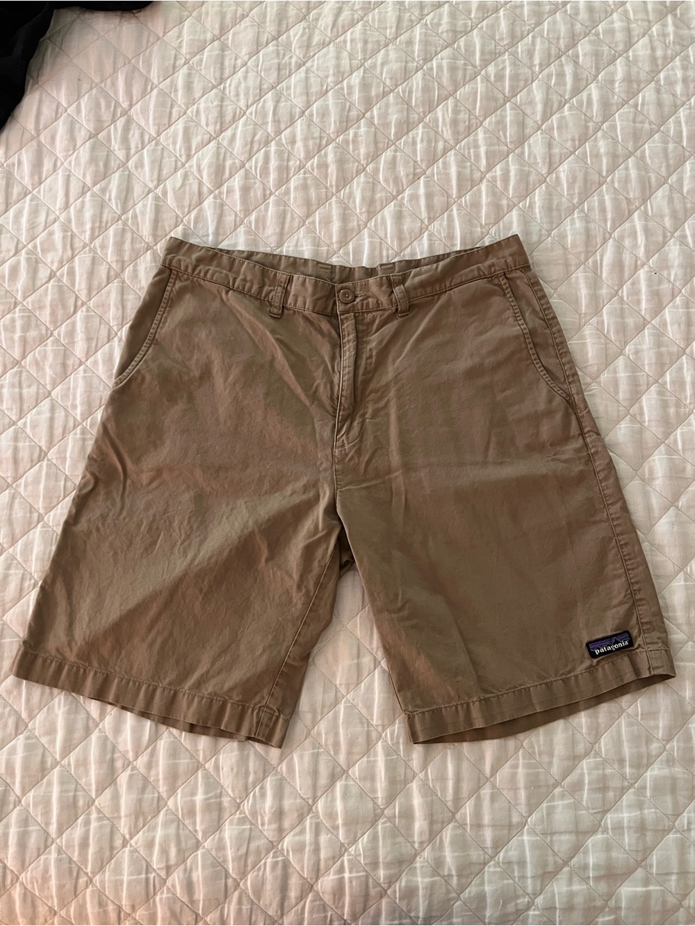 Patagonia Men's Hemp All-Wear shorts 34x8